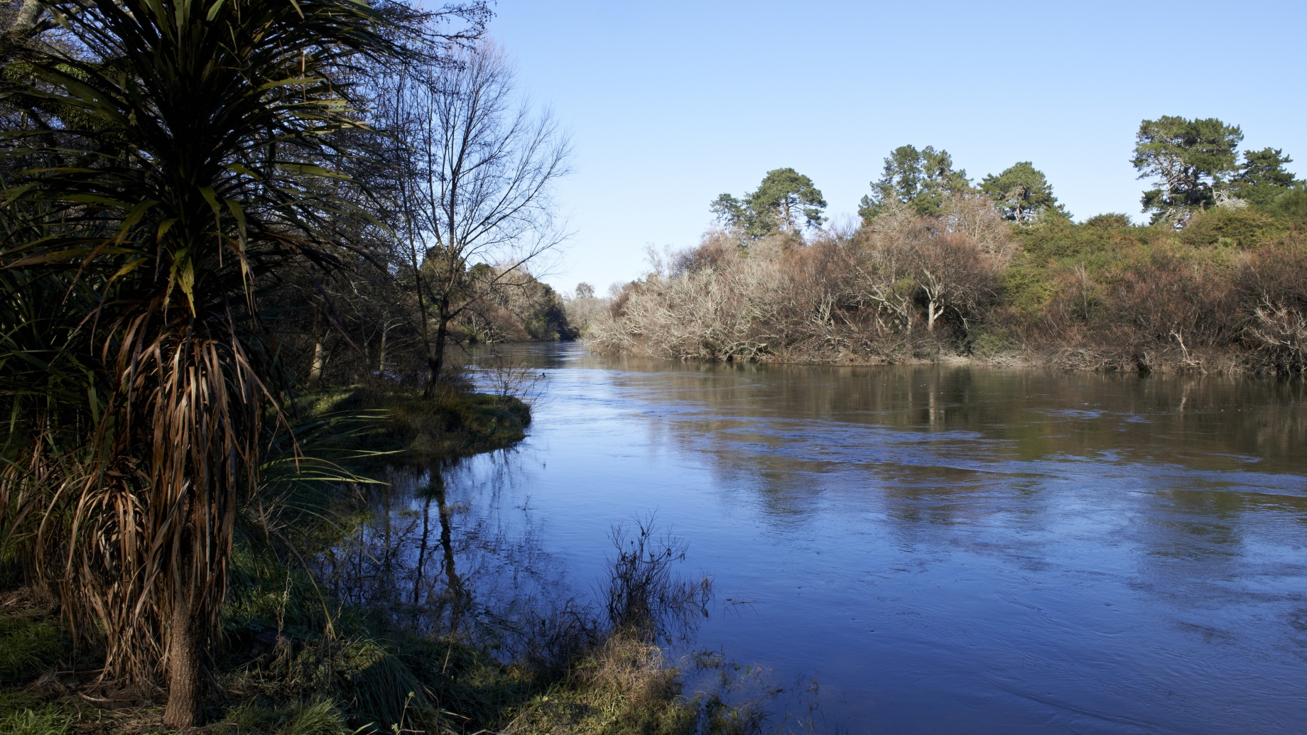Photo of the Waikato river taken from the banks at eye level to show the flow of water